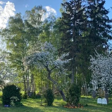 54 * Domyslow